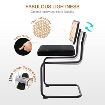 Zesthouse Dining Chairs Set of 2 - Modern Comfort and Style