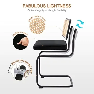 Zesthouse Dining Chairs Set of 2 - Modern Comfort and Style