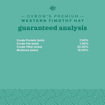 Oxbow Timothy Hay - Premium All-Natural Nutrition for Small Pets