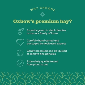 Oxbow Timothy Hay - Premium All-Natural Nutrition for Small Pets