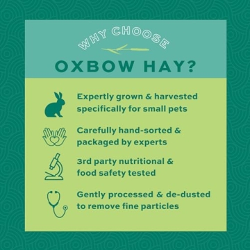 Oxbow Timothy Hay - Premium All-Natural Nutrition for Small Pets