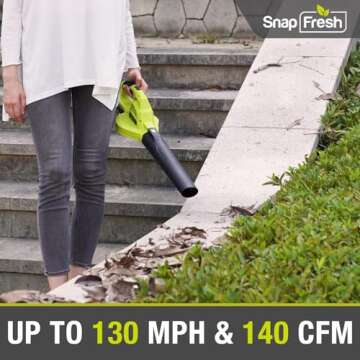 SnapFresh Cordless Leaf Blower, 20V Leaf Blower Cordless with 2.0Ah Li-ion Battery & Fast Charger, 1...