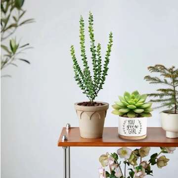 Lasimfa You Grow Girl White Ceramic Succulent Planter Pots Cactus Flower, Funny Planter Pots for Plant Lovers Friends Birthday Christmas Thanksgiving Gift, 3.6 Inch (Plant Not Included)