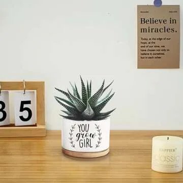 Lasimfa You Grow Girl White Ceramic Succulent Planter Pots Cactus Flower, Funny Planter Pots for Plant Lovers Friends Birthday Christmas Thanksgiving Gift, 3.6 Inch (Plant Not Included)