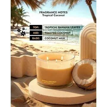 Coconut Soy Candle | Large 3 Wick Jar for Home