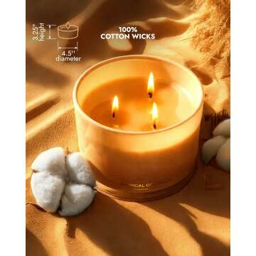 Coconut Soy Candle | Large 3 Wick Jar for Home