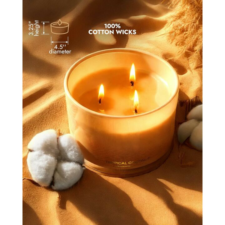 Coconut Soy Candle | Large 3 Wick Jar for Home