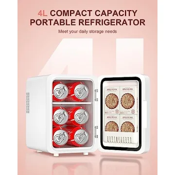 Mini Fridge for Makeup & Skincare with LED Mirror