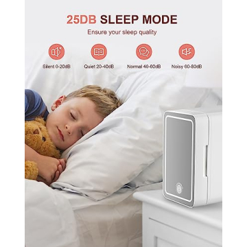 Mini Fridge for Makeup & Skincare with LED Mirror