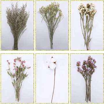 HUAESIN Natural Dried Flowers Bouquet Dried Cotton Stem Lover Grass Gypsophila Myosotis Sylvatica Farmhouse Artificial Flowers for Filler Floral Arrangement DIY Home Party Decor