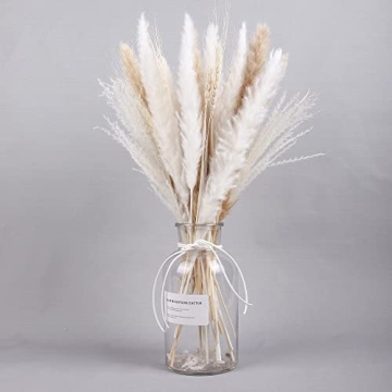 Prikpont Pampas Grass, 35PCS 17.5/'' Dried Pampas Grass Decor, Dried Flowers for Vase, Boho Flowers ...