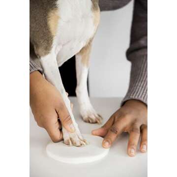 Pearhead Pet Paw Print Photo Frame With Clay Imprint Kit, Pawprint Making Kit, Cat Or Dog Memorial K...