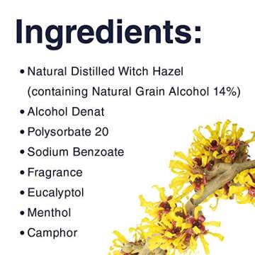 Dickinson's Witch Hazel Exfoliating Pads, 60 Count