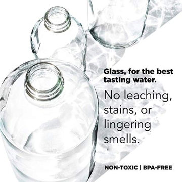 bkr Little Spiked 16oz Reusable Glass Water Bottle