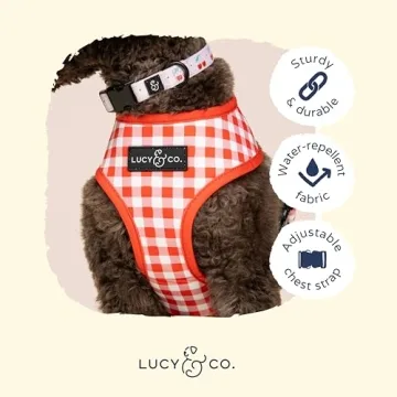 Lucy's Cheery Cherries Reversible Dog Harness for All Dogs