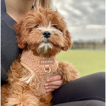 Premium No Pull Adjustable Dog Harness for Small Medium Dogs