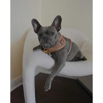 Premium No Pull Adjustable Dog Harness for Small Medium Dogs