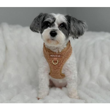 Premium No Pull Adjustable Dog Harness for Small Medium Dogs