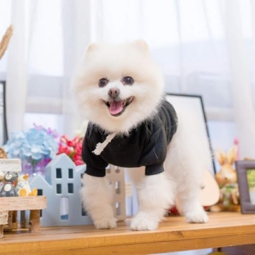 KOOLTAIL Soft Warm Dog Hoodie with Leash Hole & Pocket