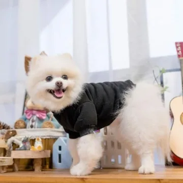 KOOLTAIL Soft Warm Dog Hoodie with Leash Hole & Pocket