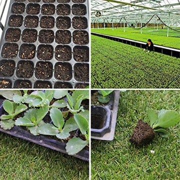 Quality IUMÉ Seed Starter Kit 72 Cell Germination Trays