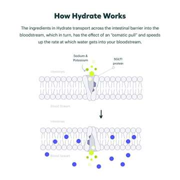 Cheers Classic Combo | Restore + Hydrate | Rehydrate & Feel Better After Drinking | DHM, L-Cysteine, B-Vitamins, Electrolytes | 12 Doses Each | Liver Support | Electrolyte Supplements