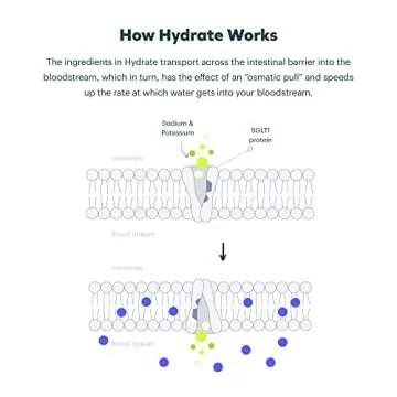 Cheers Classic Combo | Restore + Hydrate | Rehydrate & Feel Better After Drinking | DHM, L-Cysteine, B-Vitamins, Electrolytes | 12 Doses Each | Liver Support | Electrolyte Supplements
