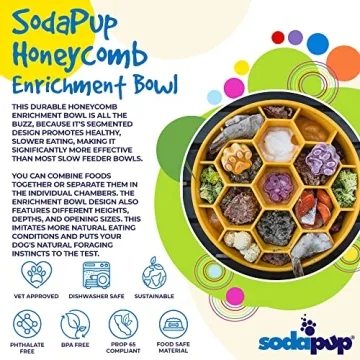 SodaPup Honeycomb Enrichment Bowl for Healthy Eating