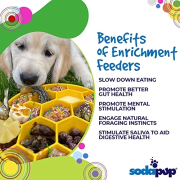 SodaPup Honeycomb Enrichment Bowl for Healthy Eating