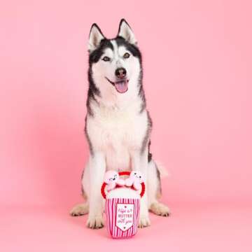 Fringe Studio Plush Dog Toy, My Heart Pops for You, Pet Shop Collection (314314)