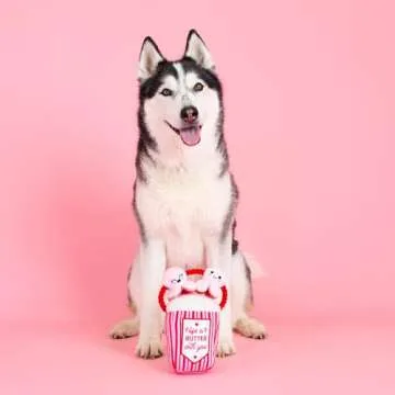 Fringe Studio Plush Dog Toy, My Heart Pops for You, Pet Shop Collection (314314)