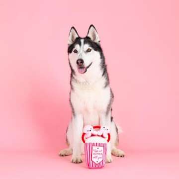 Fringe Studio Plush Dog Toy, My Heart Pops for You, Pet Shop Collection (314314)