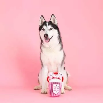 Fringe Studio Plush Dog Toy, My Heart Pops for You, Pet Shop Collection (314314)