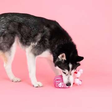 Fringe Studio Plush Dog Toy, My Heart Pops for You, Pet Shop Collection (314314)