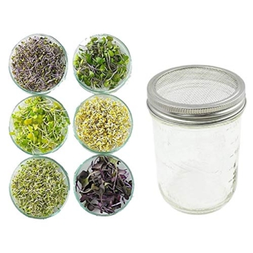 Durable Stainless Steel Sprouting Lids and Stands for Mason Jars