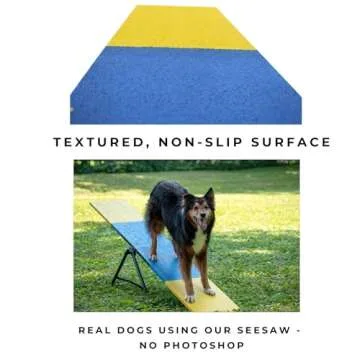 Better Sporting Dogs Practice See Saw | Dog Agility Teeter | Dog Agility Equipment