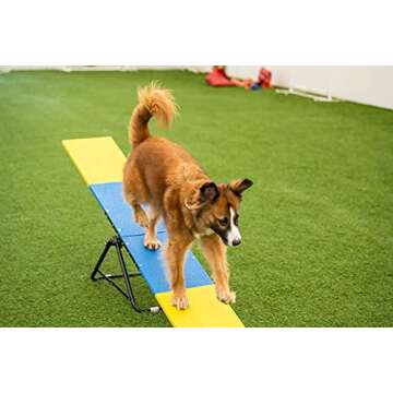 Better Sporting Dogs Practice See Saw | Dog Agility Teeter | Dog Agility Equipment