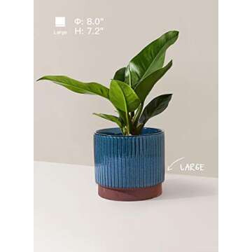 LE TAUCI Ceramic Plant Pots with Drainage Holes, Set of 3, 8+6.7+5.5 Inch Stripe Garden Planter Pots for Outdoor Indoor Plants Flower, Round Succulent Orchid Flower Pot Small to Large Size, Blue