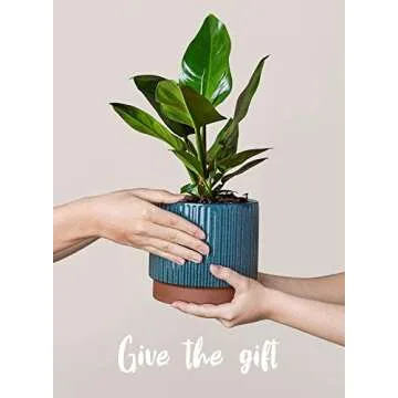 LE TAUCI Ceramic Plant Pots with Drainage Holes, Set of 3, 8+6.7+5.5 Inch Stripe Garden Planter Pots for Outdoor Indoor Plants Flower, Round Succulent Orchid Flower Pot Small to Large Size, Blue