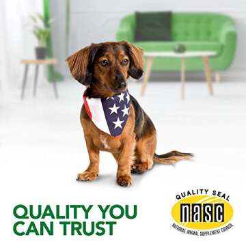 Vet's Best Healthy Coat Shed & Itch Relief Dog Supplements, Relieve Dogs Skin Irritation and Shedding Due to Seasonal Allergies or Dermatitis, 150 Chewable Tablets