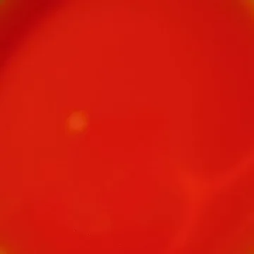 Delicious McCormick Cake Batter Flavoring for Baking