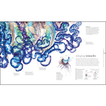 Zoology: Inside the Secret World of Animals - A Stunning Reference Book