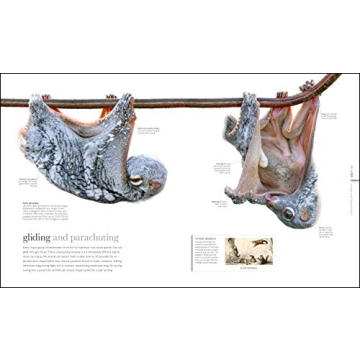 Zoology: Inside the Secret World of Animals - A Stunning Reference Book