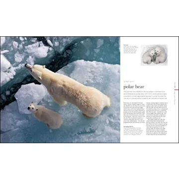 Zoology: Inside the Secret World of Animals - A Stunning Reference Book