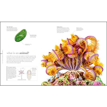 Zoology: Inside the Secret World of Animals - A Stunning Reference Book