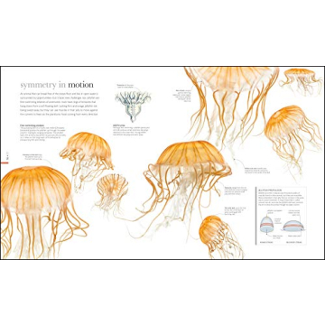 Zoology: Inside the Secret World of Animals - A Stunning Reference Book