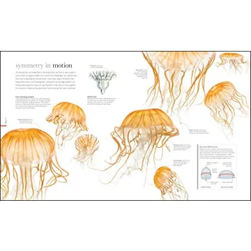 Zoology: Inside the Secret World of Animals - A Stunning Reference Book