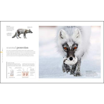 Zoology: Inside the Secret World of Animals - A Stunning Reference Book