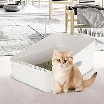Sfozstra Open , Removable , Easy to Clean Semi-Closed Litter Box for Cats and Small Dogs (White Small)