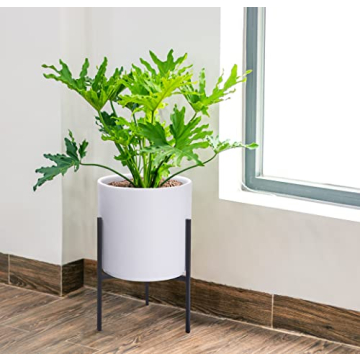 D'vine Dev White Cylinder Planter with Stand - Elegant Design